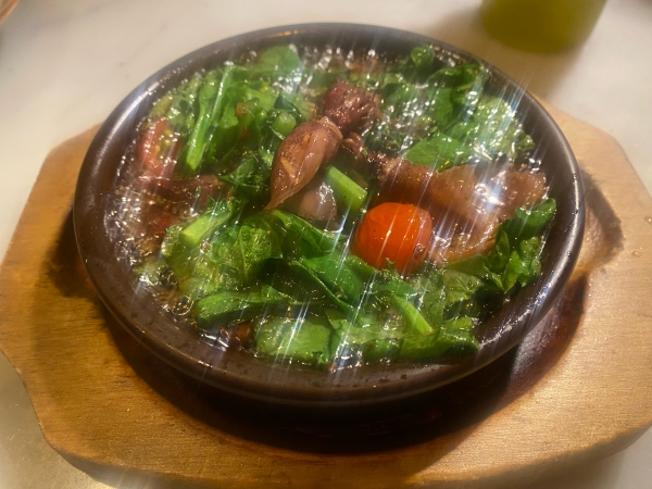 ホタルイカ